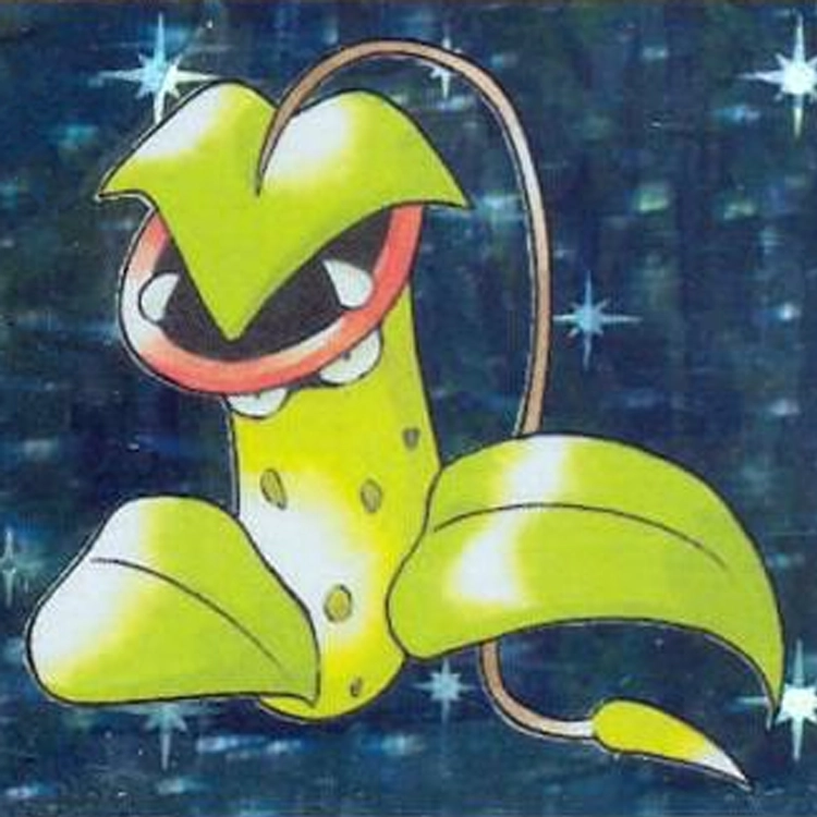 Victreebel 14/64 - card 