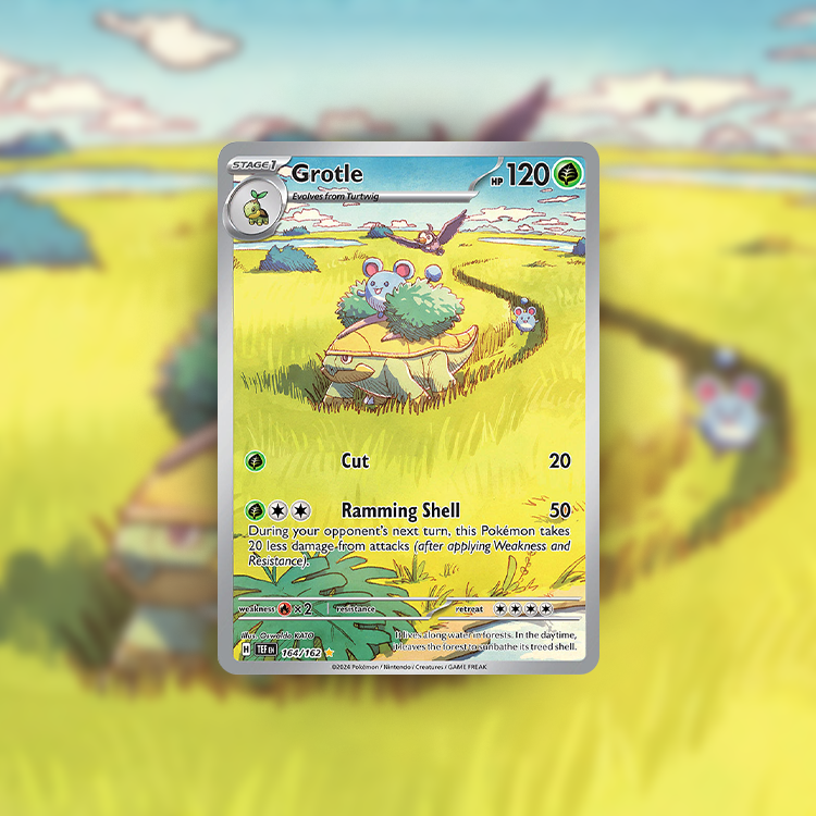 Grotle 164/162 - card