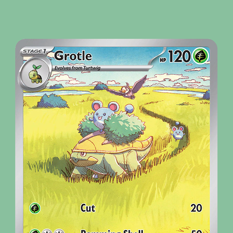 Grotle 164/162 - card