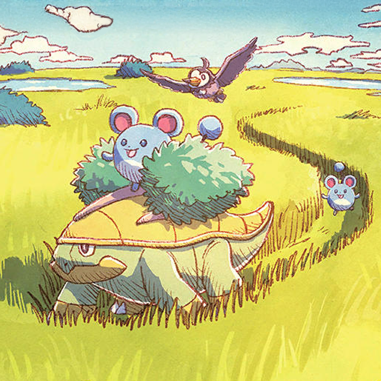 Grotle 164/162 - card